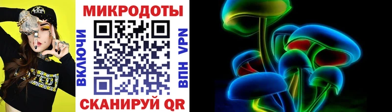 OMG зеркало  Лесозаводск  Галлюциногенные грибы Psilocybine cubensis 